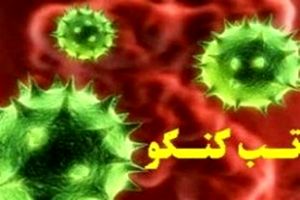 شناسایی ۸ مورد مشکوک به تب کنگو در مازندران