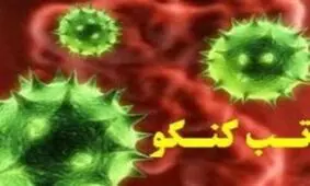 شناسایی ۸ مورد مشکوک به تب کنگو در مازندران