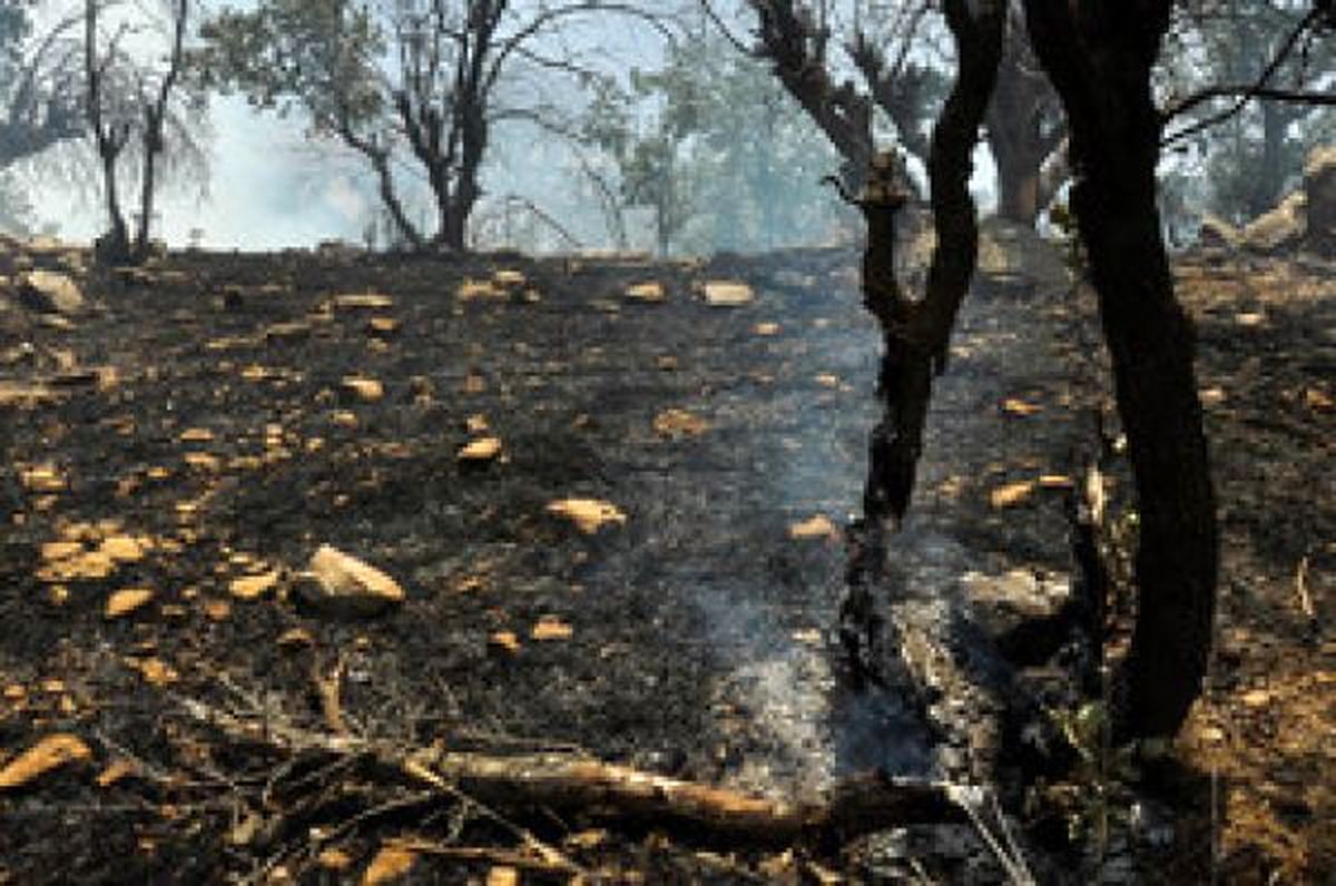 آتش‌سوزی در جنگل های زاگرس استان ایلام