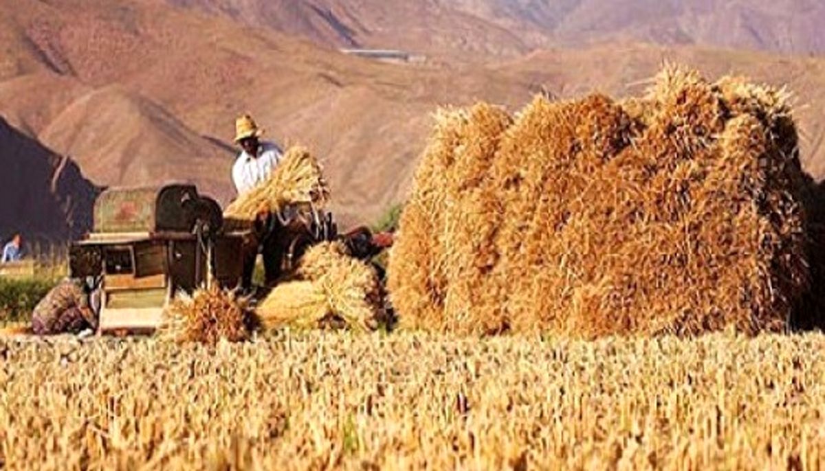عدم برخورد بهموقع،باعث گسترش تغییر غیرمجاز اراضی کشاورزی شد/برخورد دستگاه قضا با تسهیلکنندگان