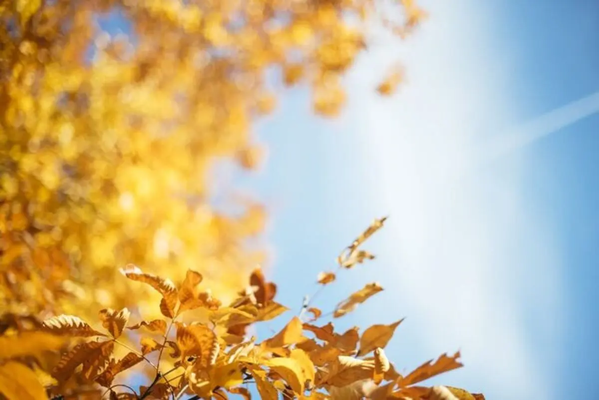 پیش‌بینی کاهش دما در خوزستان