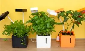 باغچه هوشمند، انتخابی برای علاقه‌مندان به کشاورزی/ عکس