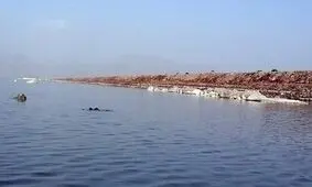 سد سازی در حوضه دریاچه ارومیه، کلافی سردرگم