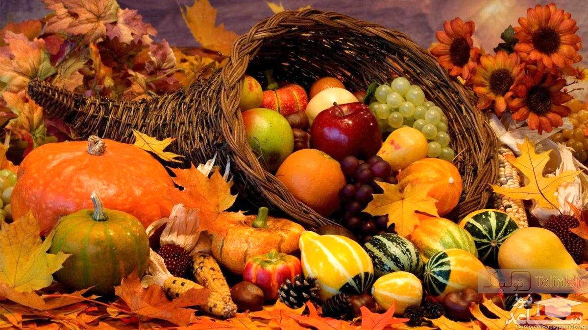 ورود میوههای پاییزی، نرخها را کاهش داد/با گرانی مواجهیم