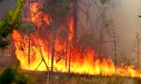 ۲۶ هکتار از اراضی شهرستان سلطانیه دچار حریق شد/ عامل انسانی علت حادثه