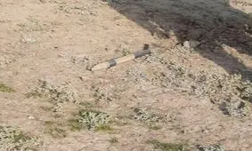 اصابت یک خمپاره به روستای خلف‌بیگلو در خداآفرینِ آذربایجان شرقی