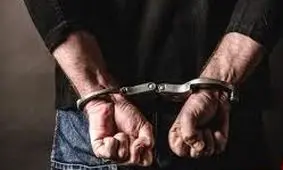 نقشه شیطانی نظافتچی برج الهیه برای دختر ۲۲ سال