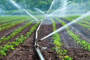 ۵۰ درصد از زمین‌های کشاورزی زنجان به سیستم آبیاری نوین مجهز شد