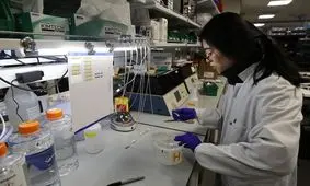 ویروس کرونا ممکن است مستقیما به مغز حمله کند