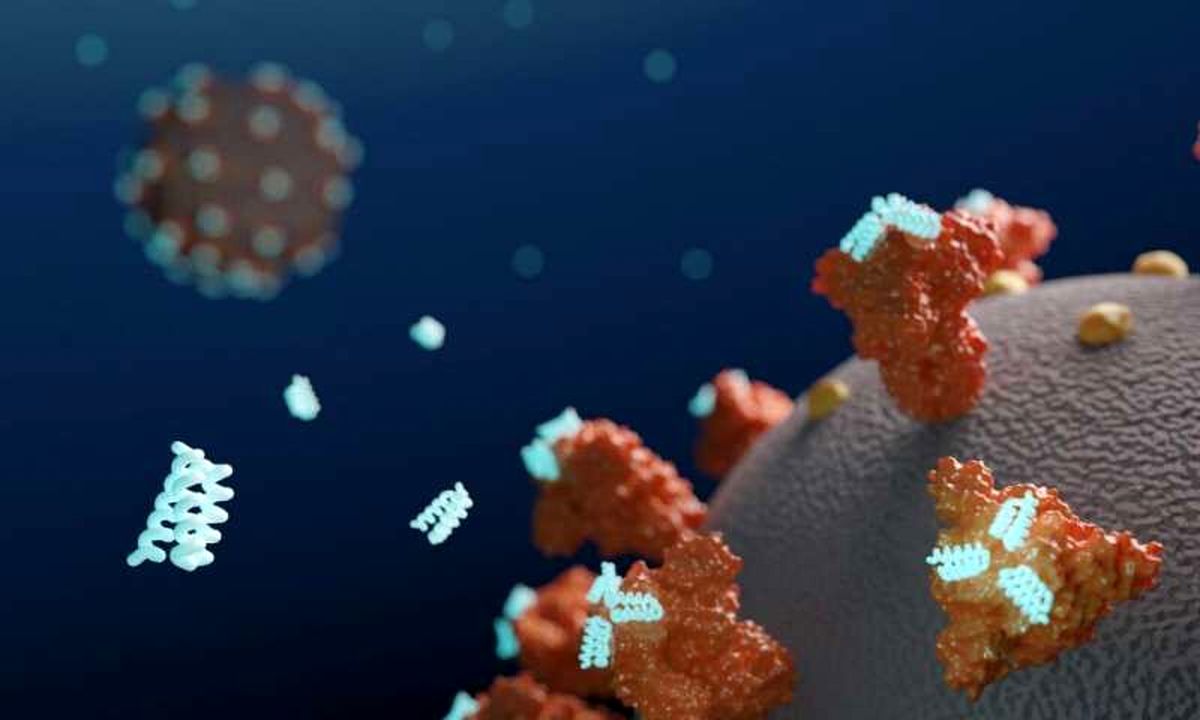 دانشگاه واشنگتن: پروتیین‌های مصنوعی ویروس کرونا را مهار می‌کنند