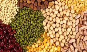 قیمت کدام کالاها کاهش یافت؟