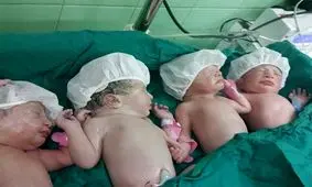 ۴قلوهای قمی به دنیا آمدند