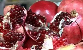 برداشت ۸۰۰ تن انار در فنوج سیستان و بلوچستان به روایت تصاویر