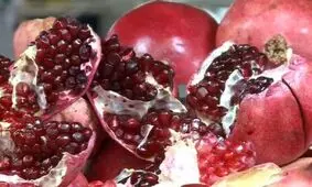 برداشت ۸۰۰ تن انار در فنوج سیستان و بلوچستان به روایت تصاویر