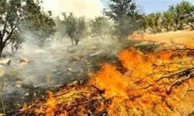 مرگ داوطلب اطفای حریق در مراتع کوهدشت