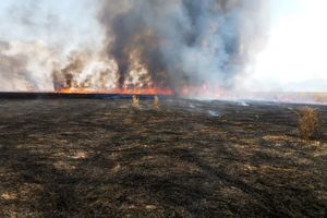 پنج هکتار از اراضی تالاب میانگران ایذه در آتش طمع سوخت