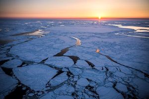 اتفاق بی‌سابقه در یخ‌های اقیانوس آرام بعد از 5500 سال