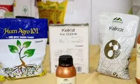 کشت پائیزه مازندران زیر سایه بازار پرالتهاب کود و سموم شیمیایی