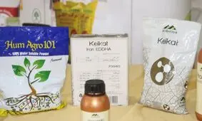 کشت پائیزه مازندران زیر سایه بازار پرالتهاب کود و سموم شیمیایی