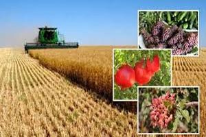 کشاورزی مبنای امنیت غذایی