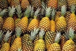 قیمت آناناس در بازار ۱۰۰ هزار تومان شد