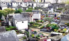 عجیب‌ترین گورستان‌های دنیا / اجساد اینجا هرگز نمی‌پوسند/ عکس