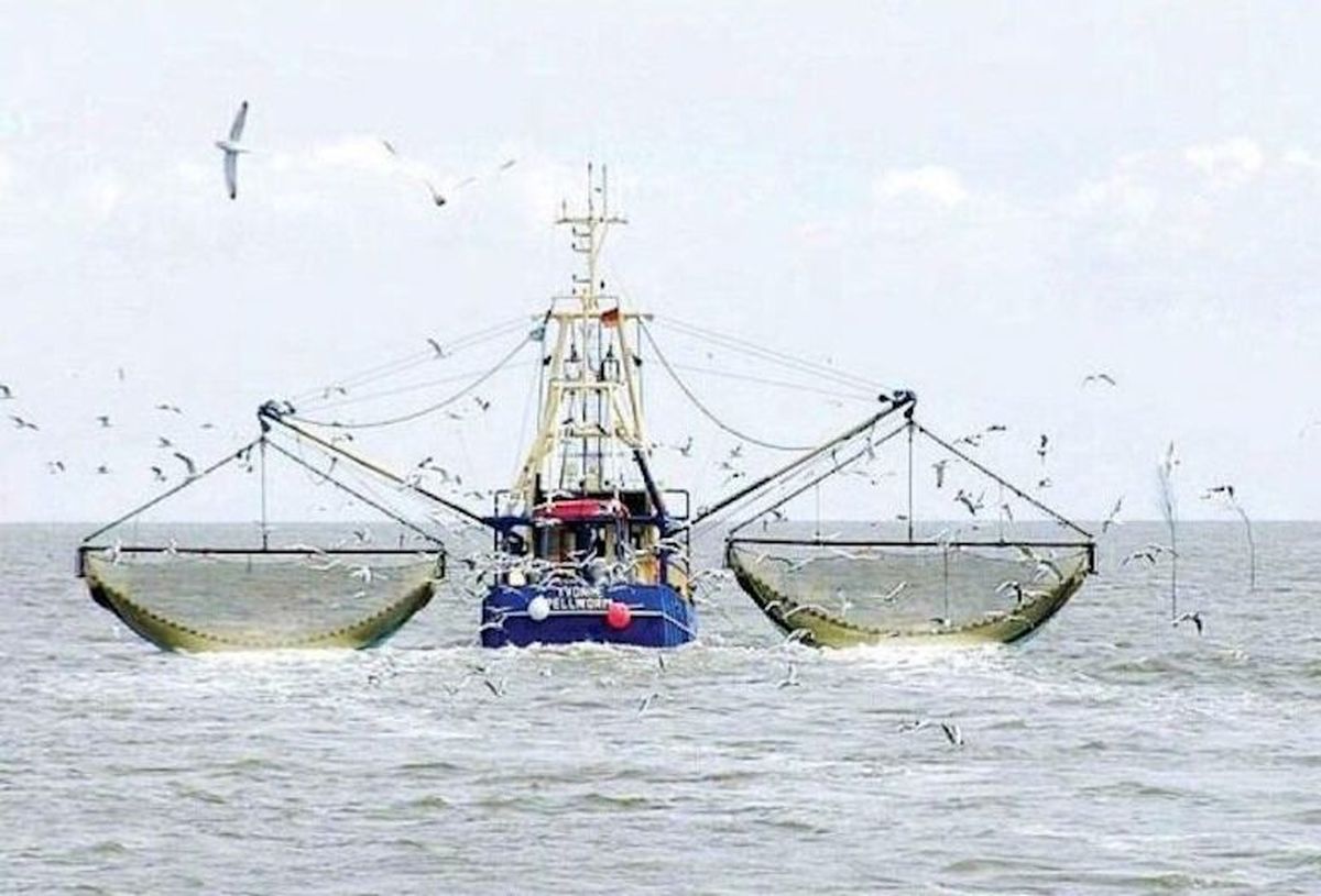 توقیف ۵ کشتی ترال صید ماهی در نزدیکی سواحل بندر چابهار / ویدئو