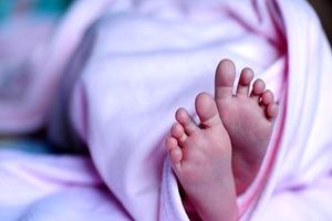 مرگ تلخ نوزاد دختر رها شده در خیابان خلوت تهران / پلیس هم گریه کرد