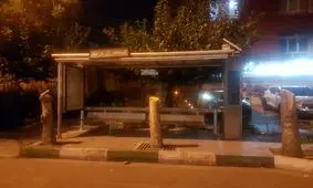 جای درختانی که به علت خشکیدگی قطع شده بودند، با سیمان پُر شد