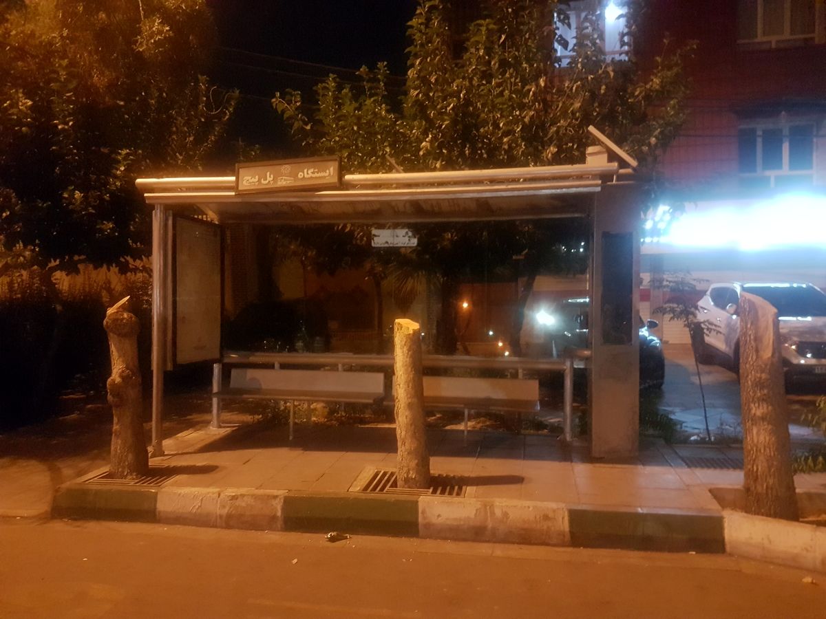 جای درختانی که به علت خشکیدگی قطع شده بودند، با سیمان پُر شد