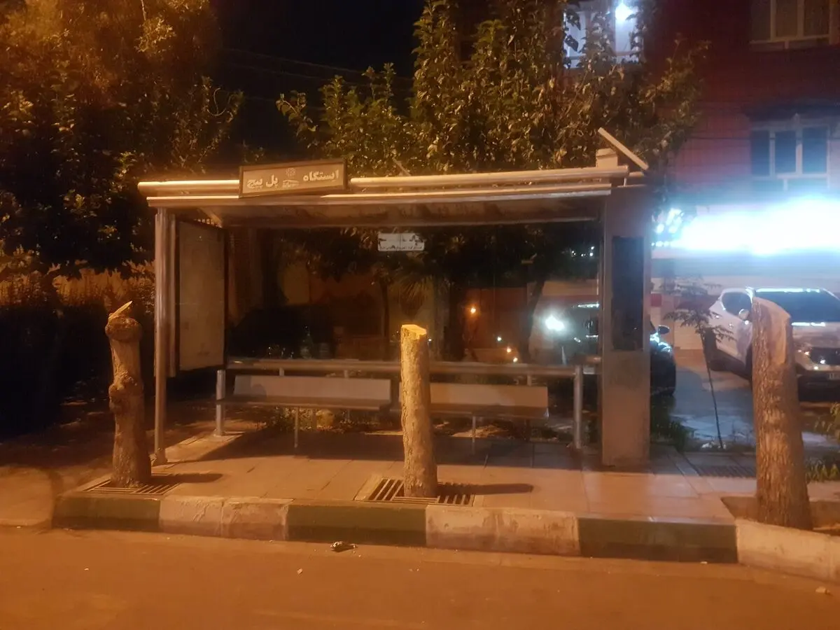 جای درختانی که به علت خشکیدگی قطع شده بودند، با سیمان پُر شد