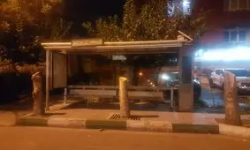 جای درختانی که به علت خشکیدگی قطع شده بودند، با سیمان پُر شد