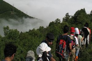 گردشگری در جنگل ابر شاهرود و دوگانه تفریح و تخریب
