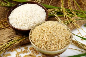 رشد ۴ برابری قیمت برنج خارجی در بازار