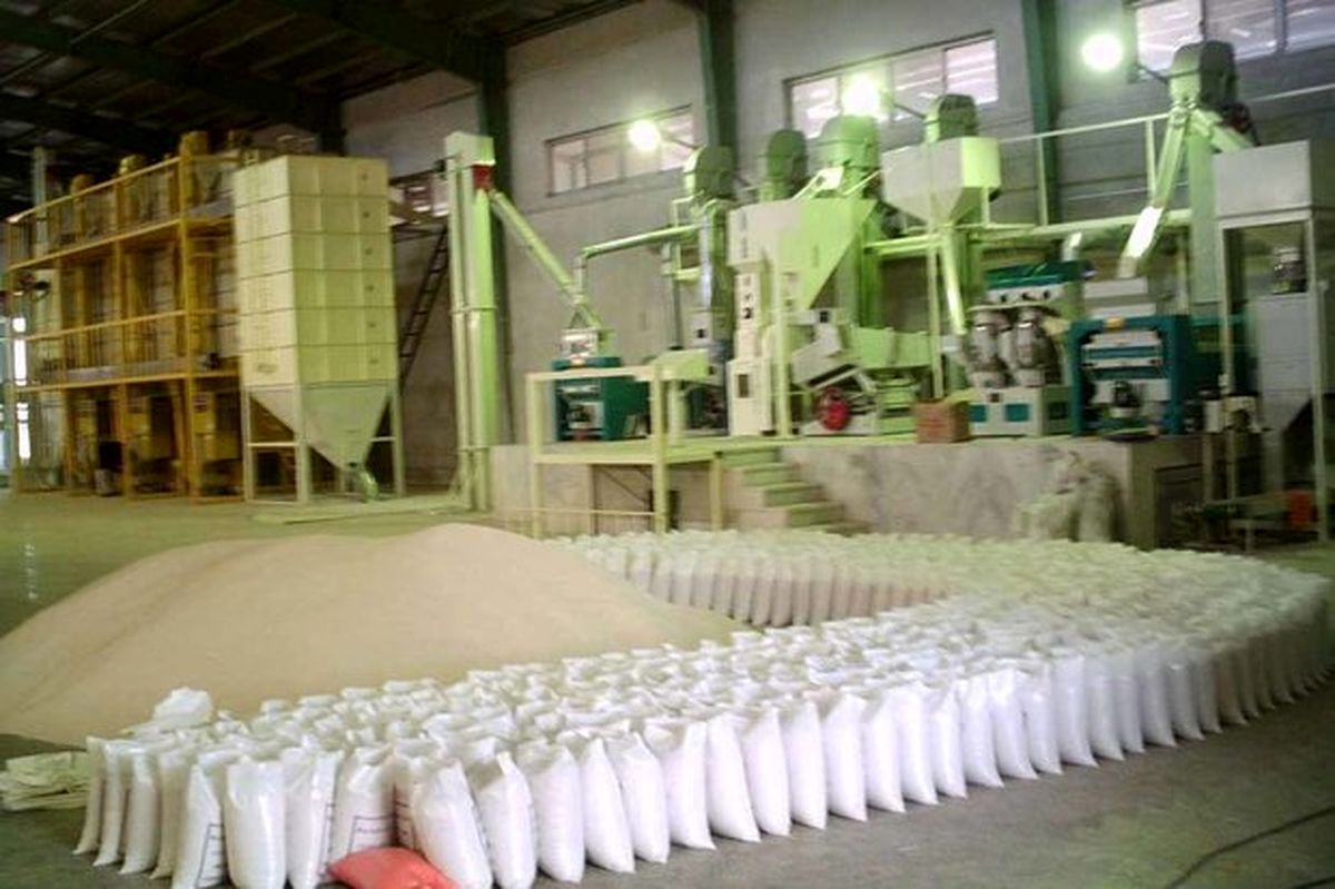 نرخ خشک کردن هر تُن برنج در شالی کوبی‌ها ۷۰۰ هزار تومان تعیین شد