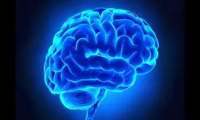 علائم خشکی مغز چیست؟/ اینفوگرافی