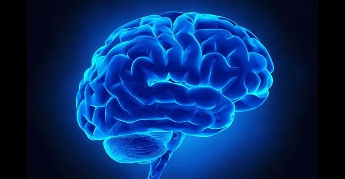 علائم خشکی مغز چیست؟/ اینفوگرافی