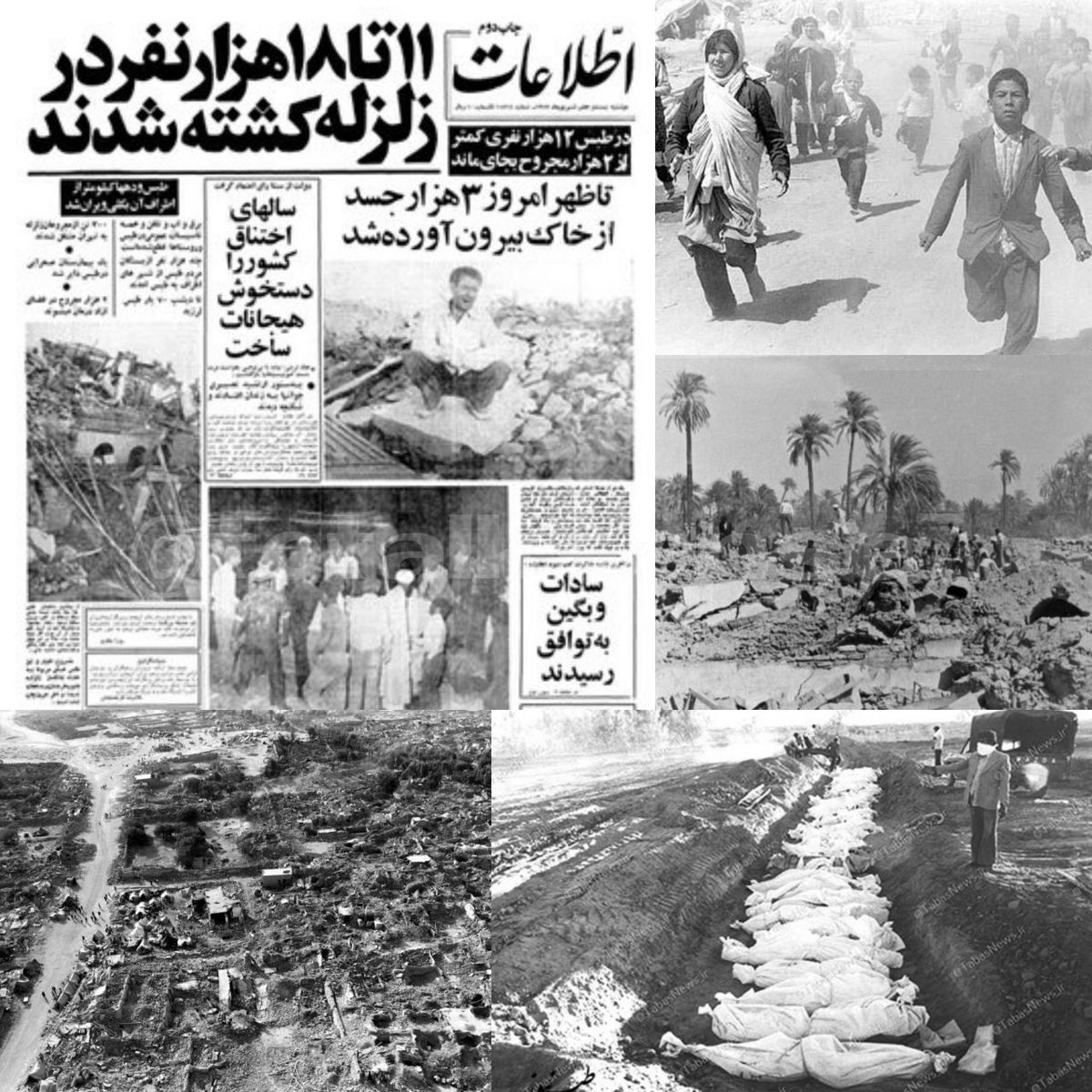 زلزله ای که هنوز کشتههای خود را رو نکرده است!