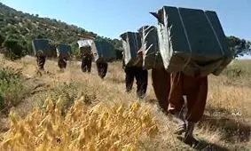 کولبر نوجوان پاوه‌ای برای ادامه درمان به تهران منتقل شده/ مادر مانی: نمی‌خواهم در این شرایط حرف بزنم