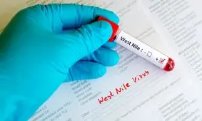 شیوع ویروسی نام ‌آشنا در اسپانیا