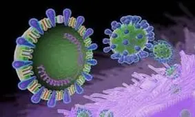 طول عمر کرونا روی سطوح مختلف چقدر است؟
