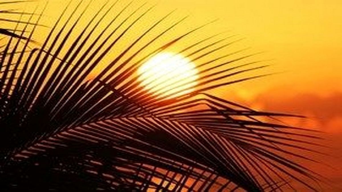 چرخه فعالیت خورشید در حال تغییر است