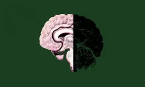 روشی که مغزتان به شما دروغ می‌گوید