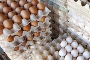 شانه تخم مرغ 45 هزار تومانی؟