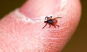 قرنطیه کارکنان بیمارستان امام خمینی شایعه است