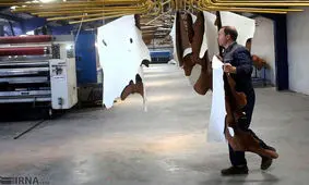 چرا تولید چرم کاهش یافت؟