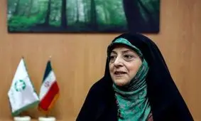 بررسی قانون هوای پاک در شورای نگهبان/ احیای ۸۳ درصد هورالعظیم