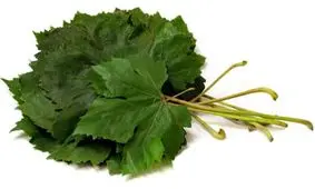 گیاهی که یک تنه سرما خوردگی و آنفلوانزا را حریف است