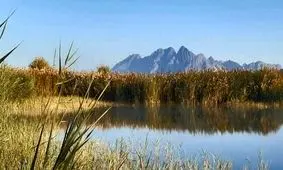 چهارمین مرحله از حقابه وارد تالاب بین‌المللی هامون شد