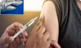 کُشتن نیم میلیون کوسه برای ساخت واکسن ضدکرونا